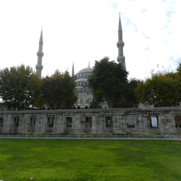 DSCN4848