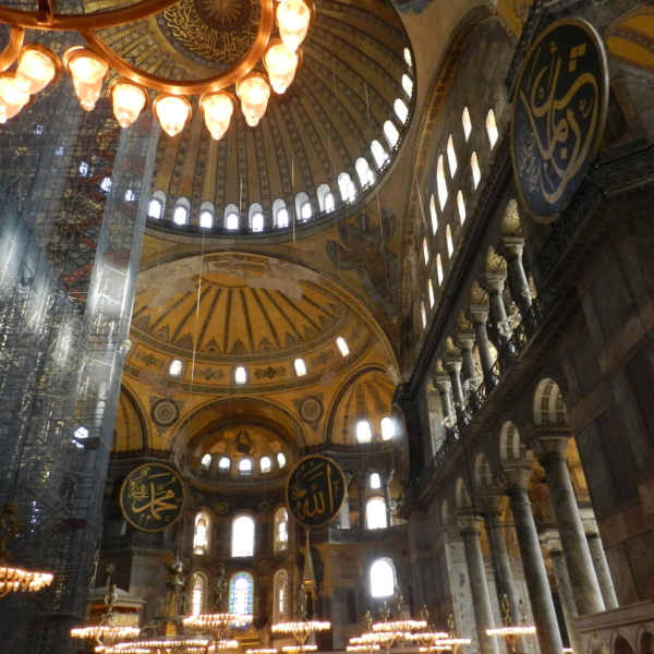 DSCN4879