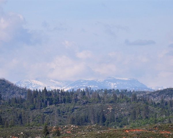 DSCN6152