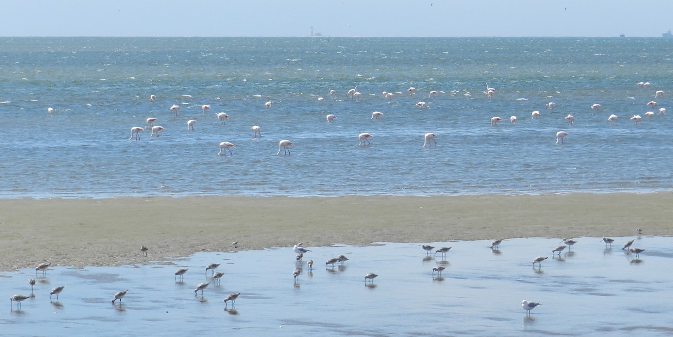 Namibia 22-29 Dec 2017